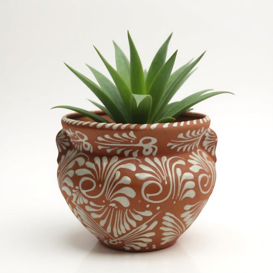 Handmade Talavera Flower Pot | Terracotta & White Design with plant