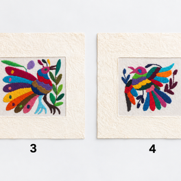 Otomí Amate Embroidered Assorted Art Textile Wall Decor Unframed - Mexico