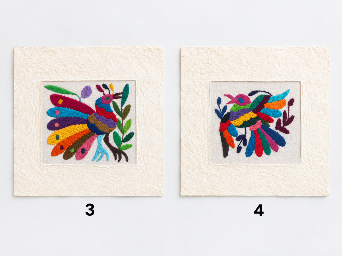 Otomí Amate Embroidered Assorted Art Textile Wall Decor Unframed - Mexico