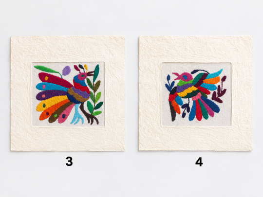 Otomí Amate Embroidered Assorted Art Textile Wall Decor Unframed - Mexico