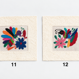 Otomí Amate Embroidered Assorted Art Textile Wall Decor Unframed - Mexico