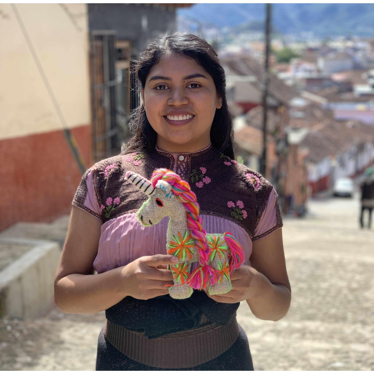 Tomi the Donkey: Repurposed Wool Boho Decor - Mexico