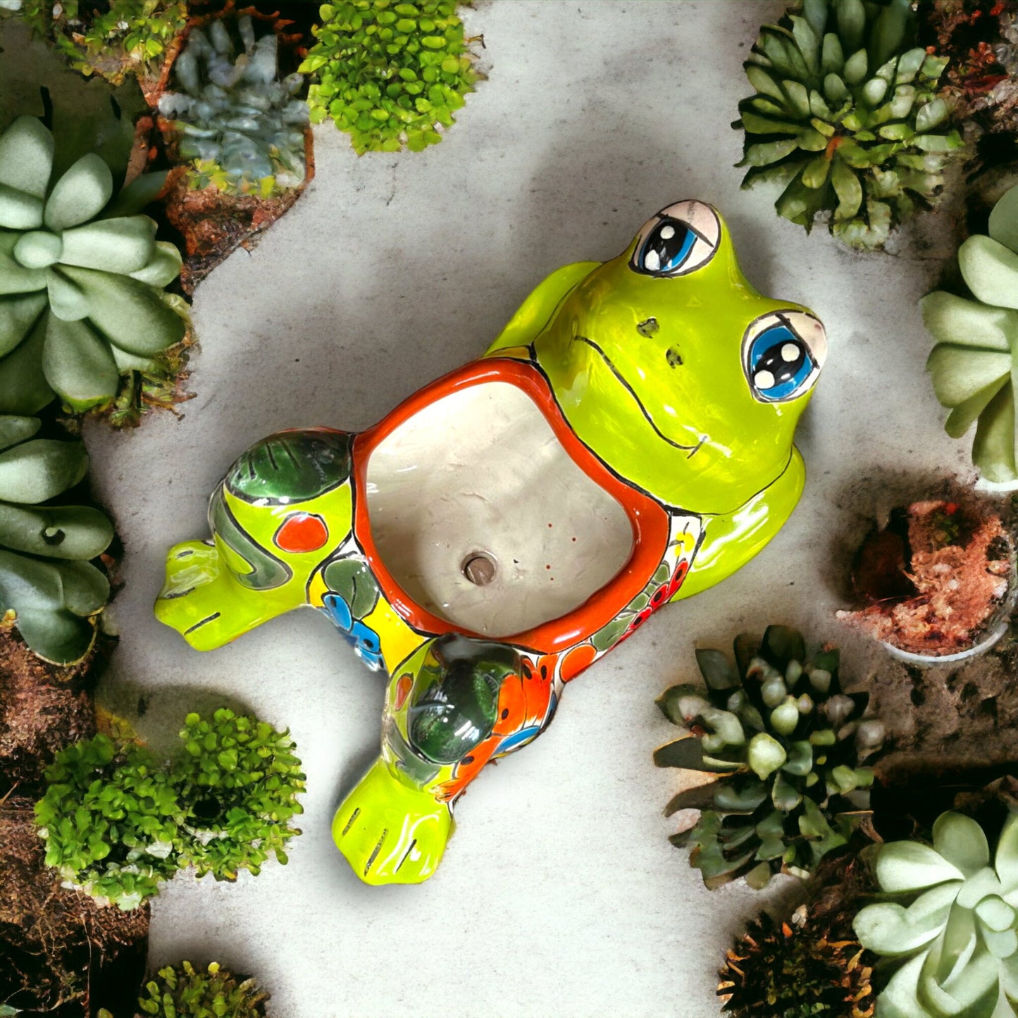 Colorful Talavera Frog Planters | Hand-Painted Mexican Pottery (Medium Size)