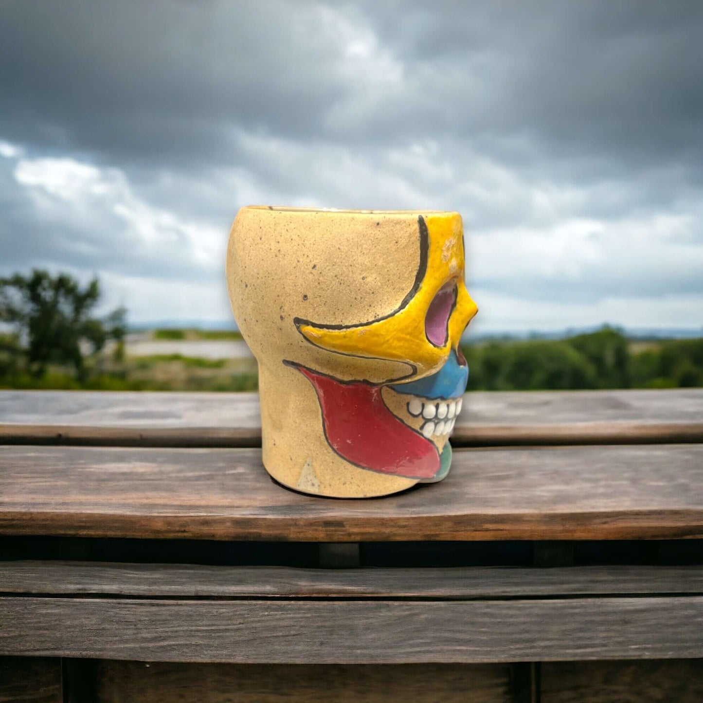 Mexican Handcrafted Skull Planter | Unique Small Flower Pot for Home Decor hand-painted colorful Talavera skull planter on wooden deck against cloudy sky