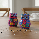 Pair of colorful owl salt and pepper shakers displayed on a dining table