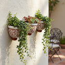 The Talavera Hub set of 3 handcrafted brown and white floral ceramic wall planters with trailing green ivy and succulents.