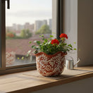 The Talavera Hub handcrafted brown ceramic planter with white floral motifs and wavy rim, holding a plant with red flowers.