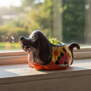 The Talavera Hub small hand-painted Mexican ceramic dog planter with vibrant floral patterns holding a succulent.