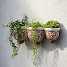 The Talavera Hub set of 3 handcrafted brown and white floral ceramic wall planters with trailing succulents