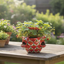 The Talavera Hub red ceramic strawberry planter with peacock design and side pockets, holding strawberry plants.