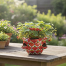 The Talavera Hub red ceramic strawberry planter with peacock design and side pockets, holding strawberry plants.
